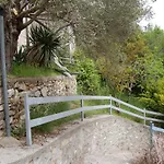 Zografia 4*