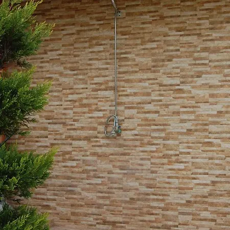 Guest house Zografia