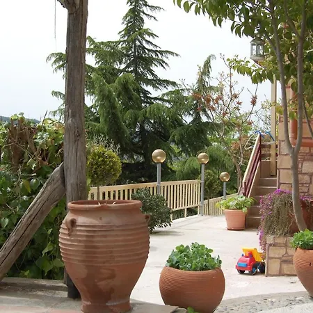 Zografia