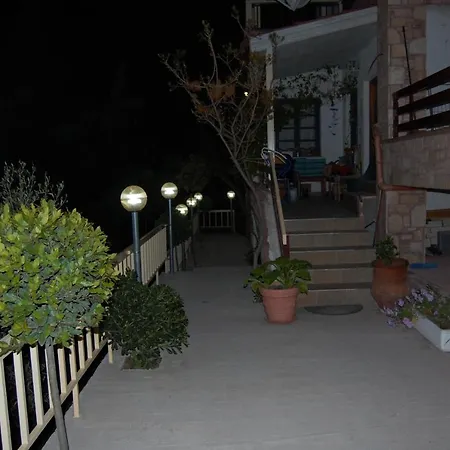Zografia 4*